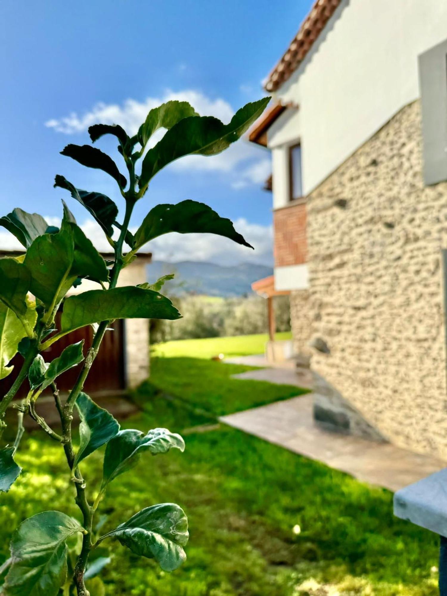 Terradeva Apartamentos Colombres Exterior photo
